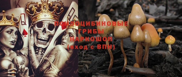 шишки Алексин