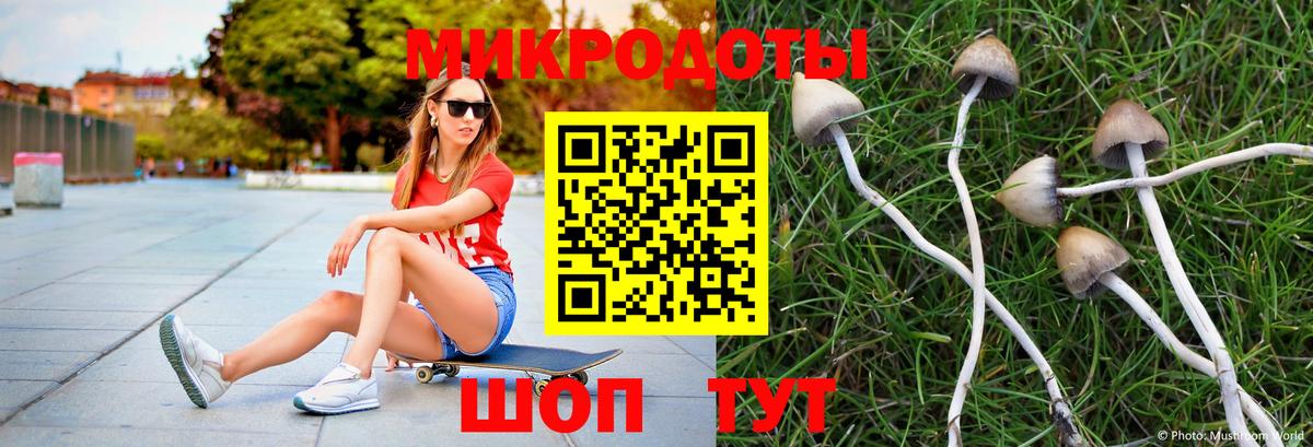 Галлюциногенные грибы GOLDEN TEACHER  Вход с VPN  Галлюциногенные грибы Psilocybine cubensis  Архангельск 